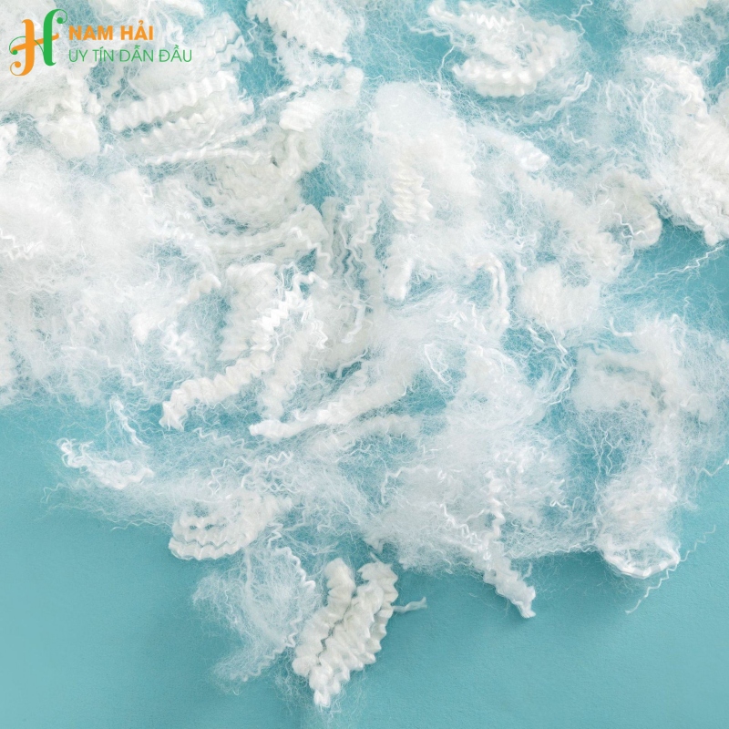 bông gòn lông vũ